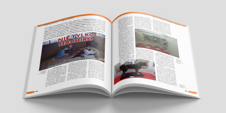 Wrześniowy numer Torii – kolejna zapowiedź!